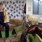 Taxidermied sheep take up temporary residence in Sue Bidrose’s Dunedin City Council office as the...