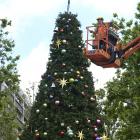 Contractors assemble the 12m Octagon Christmas tree yesterday morning which will be lit in the...