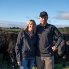 Clare and Evan Chapman treat their 350 Wagyu steers like royalty and say there is no secret...