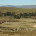 This photo from 2009 shows the site where paleobotanist Tammo Reichgelt collected a fossil leaf ...