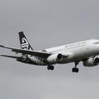 Air NZ's boss says international travel made up two-thirds of the company's revenue and that was...