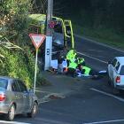 Ambulance staff at the scene in Serpentine Ave today. Photo: Christine O'Connor