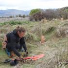 Emily Wilson, of Wanaka, on her first day in her new job planting trees and shrubs beside the...