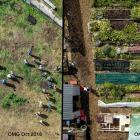 Organic market garden in Symonds St, Auckland. PHOTO: SUPPLIED