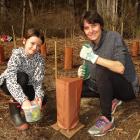 Putting the final touches on a newly planted native are Frankie (9) and Petra Sim, of Arrowtown....