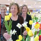 PHOTO: TRACEY ROXBURGH