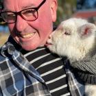 Lake Ohau Village resident Hugh Spiers with 1-month-old lamb Gladys, who was found two days after...