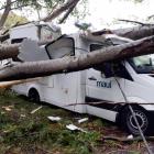 A tree toppled on to this campervan at a rest area near Kingston yesterday. PHOTO: JUSTIN...
