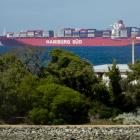 Rio Madeira at anchor off Karitane yesterday. PHOTO: GERARD O’BRIEN
