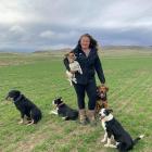 Shepherd Leora Werner, of Oturehua, is a Silver Fern Farms’ Pasture to Plate youth  scholarship...