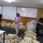 Larnie Morrell, of Alexandra, was one of 14 participants attending the new wool clip 
...