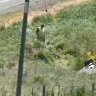 One person was killed in the crash north of Dunedin. Photo: Gregor Richardson