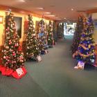 Trees on show at the Waimakariri District Council service centre foyer in Rangiora. Photo: Supplied