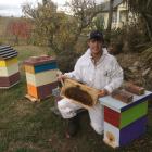 Peter Cheesmur, of Waipiata, has run his own company for three years. PHOTO: PETER CHEESMUR