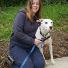 SPCA Dunedin canine attendant Gemma Mitchell with Kesh, who is available for adoption. PHOTO:...