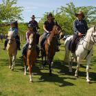 A team of horses and ponies form a guard of honour to remember New Zealand Women’s Land Service...