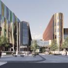 A concept design image for the new Dunedin Hospital buildings. The design continues to be refined...