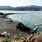 The Banks Peninsula Community Board has recommended the closure of the Magazine Bay Marina as it...