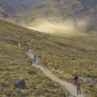 More people will be able to race in the Kepler Challenge this year, as the number of permitted...