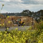 A log loader works at the log storage facility in Dunedin on Monday afternoon. PHOTO: GREGOR...