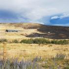 Twenty hectares were burnt near Lowburn on Saturday when a fire a farmer thought he had...
