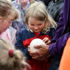 Mia Bruce (6) enjoys the tour at Queens Park, getting to hold an ostrich egg. PHOTO: LAURA SMITH