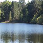 The quiet of Pinders Pond was disturbed by a police search with a sad conclusion on Friday night....