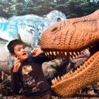 Otago Museum dinosaur ambassador Macklin Devlin has a close encounter with an animatronic...