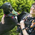 US-born doctoral student Hannah Mello and her Labrador-cattle dog cross Quercus are reunited in...