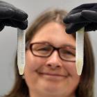 Associate Prof Janice Lord with vials of corpse plant pollen frozen at -80degC at the University...