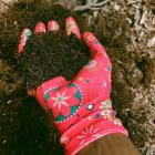 Wearing gloves while handling compost is one of the safety measures you can take to avoid getting...