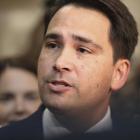 Simon Bridges. Photo: RNZ