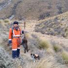 New Maniototo Pest Management Inc manager Kevin Allan holds a wallaby he shot on the Ida Range in...