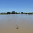 The flooded Taieri River earlier this month as seen from the Outram bridge. Photo: Gregor Richardson