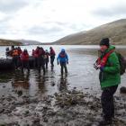 Joanne Laing steps ashore at Tucker Cove on Campbell Island along with other passengers from...