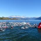 The start of the 2.5km Ruby Swim around Lake Wanaka’s Ruby Island and back on Saturday. PHOTO:...