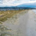 Retreating from Middle Beach could allow a more natural 
...