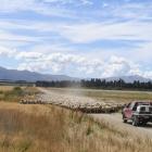 Farming in New Zealand has some challenging years ahead. PHOTO: STEPHEN JAQUIERY