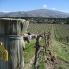 Carrick Winery