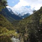 The Rob Roy Glacier as seen from the lower lookout on the Rob Roy Glacier track. PHOTO: ODT files