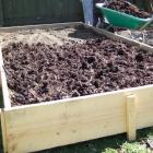 4: Add a good thick layer of compost on top, up to 10cm if you can get your hands on that much.