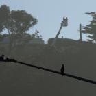 Old power lines no longer in use were taken down by  linesmen at the Andersons Bay Inlet in...