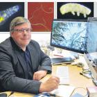 University of Otago geneticist Peter Dearden at his office in the university’s biochemistry...