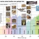 We know of five major extinction events in Earth’s past. Scientists are increasingly worried that...