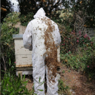  A helper inspects Maguire's healthy hives prior to the hive being decimated in February. Photo:...