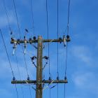 Two birds have been identified as the culprits responsible for causing a power outage in Te Anau...