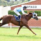 The Gift and  Jacob Lowry are well clear as they hit the finish line in the feature race at...
