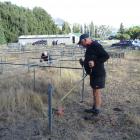 Tarras merino sheep farmer and volunteer Robbie Gibson tidies up some sheep pens ahead of the ...