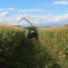A crop of maize harvested at Matakanui Station near Omakau last week was one of the best owners...