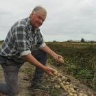 John Withell works in his boutique planting operation on the outskirts of Ashburton. PHOTOS: TONI...